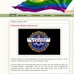 Screen shot 2012-01-23 at 6.01.34 PM Pirate blog sites lament the passing of Megaupload.